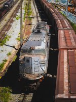 VLI 8359